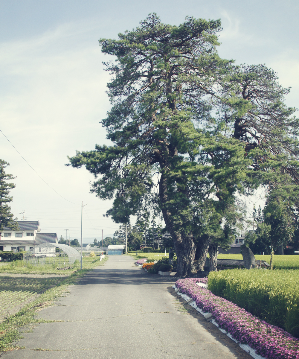 長野県松本