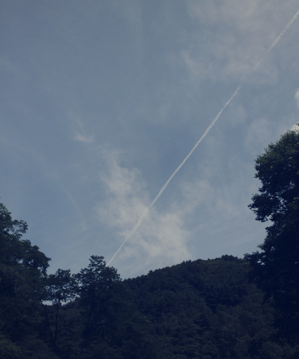 0818d